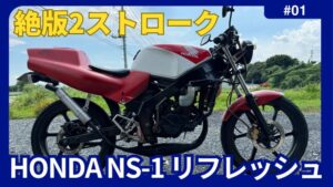 NS-1-リフレッシュ-300x169.jpg